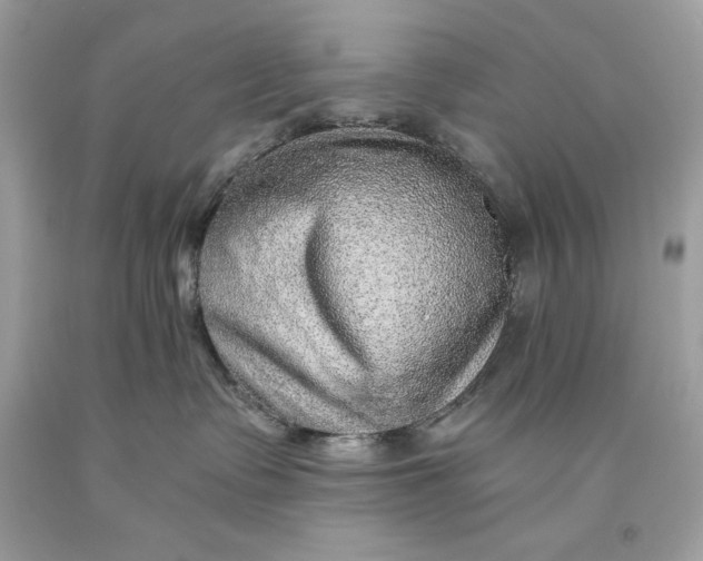 X0000093510335200710261203