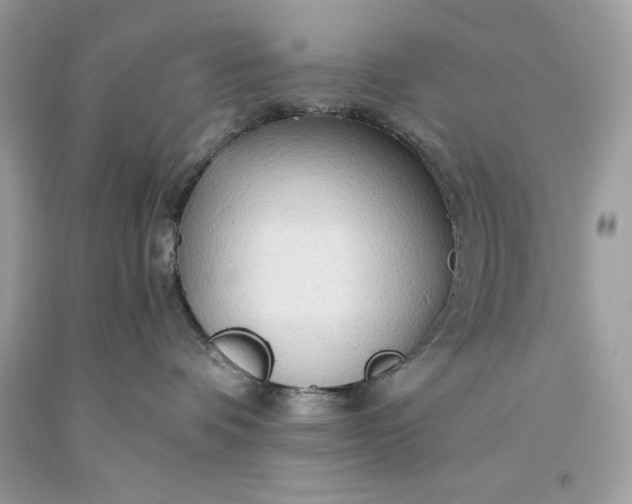 X0000093510336200710261203