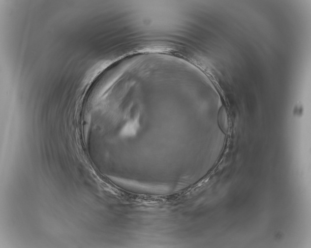 X0000093510337200710261202