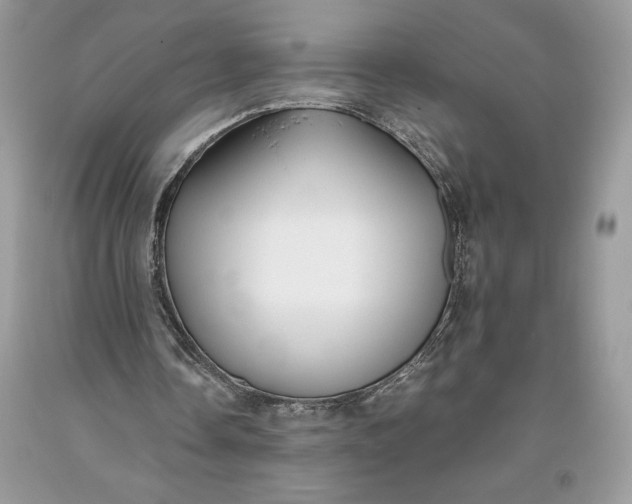 X0000093510338200710261202