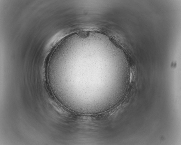 X0000093510339200710261202