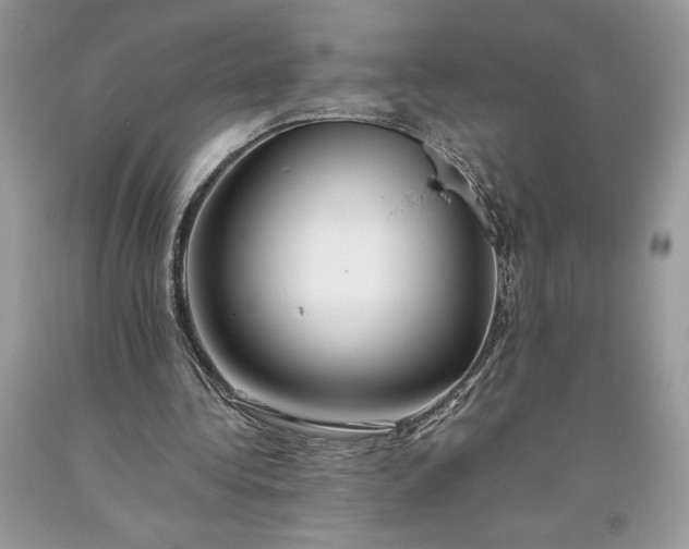 X0000093510340200710261202