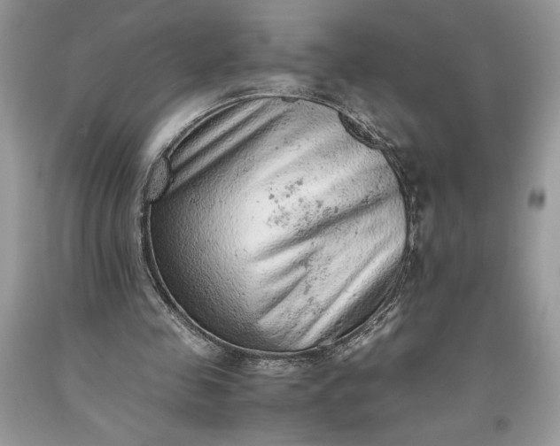 X0000093510341200710261202