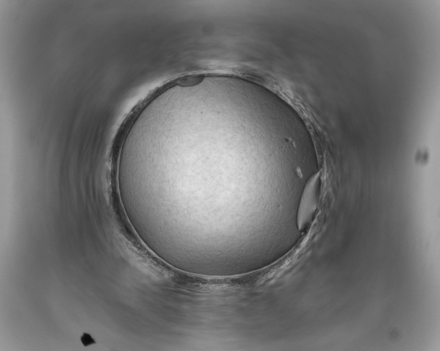 X0000093510342200710261202