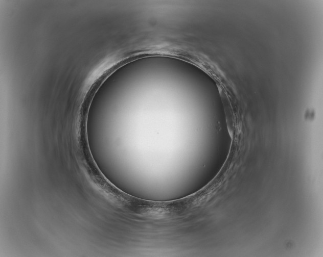 X0000093510344200710261202