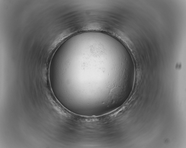 X0000093510345200710261202