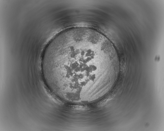 X0000093510347200710261202