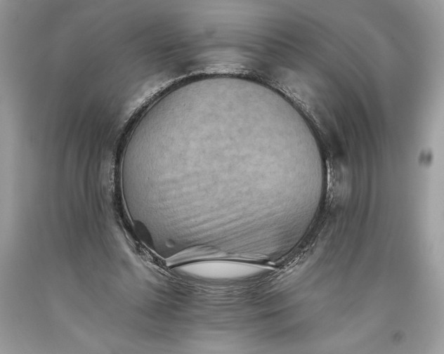 X0000093510348200710261202