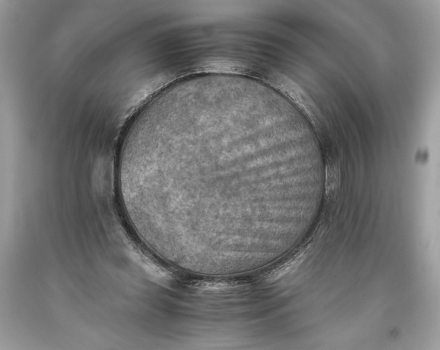 X0000093510349200710261202