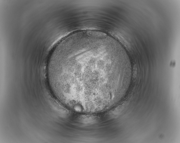 X0000093510351200710261202