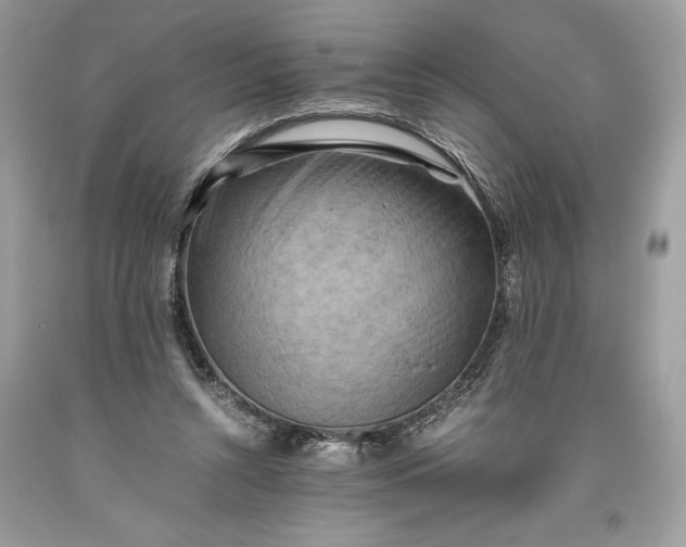 X0000093510352200710261202