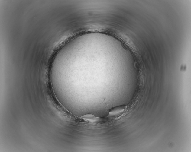 X0000093510354200710261202