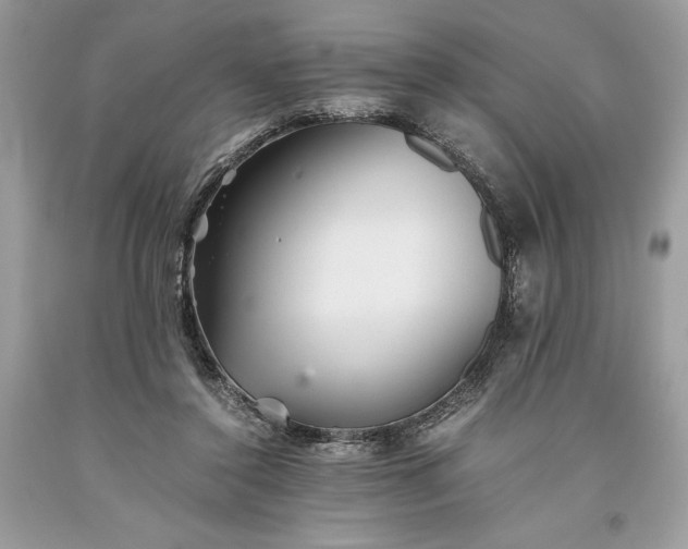 X0000093510356200710261203