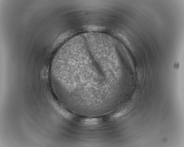 X0000093510357200710261203