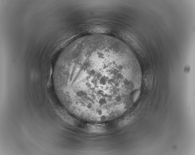 X0000093510359200710261203