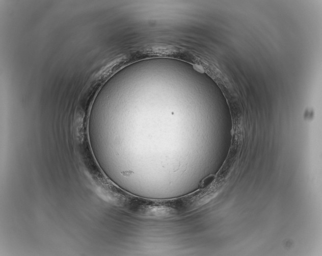 X0000093510360200710261203