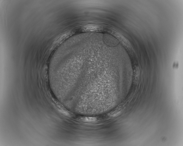 X0000093510361200710261203