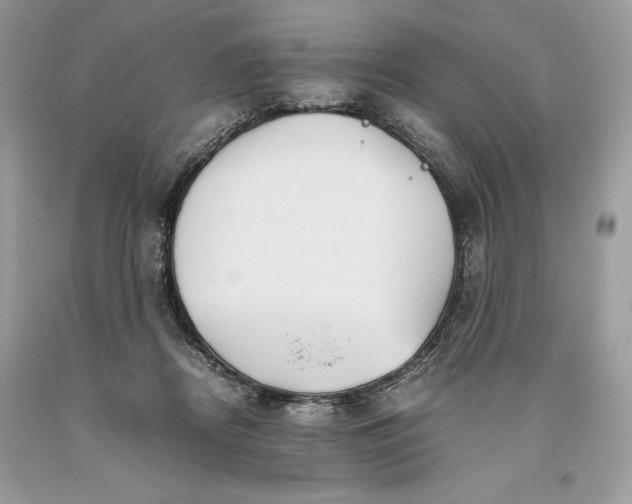 X0000093510362200710261203