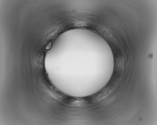 X0000093510364200710261203