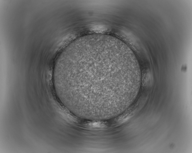 X0000093510365200710261203