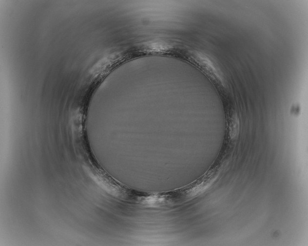 X0000093510366200710261203