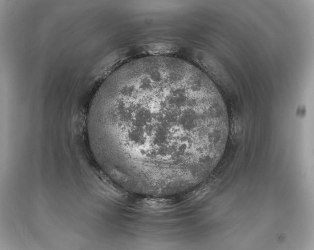 X0000093510367200710261203