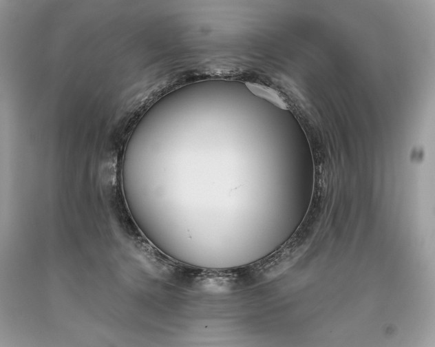 X0000093510368200710261203