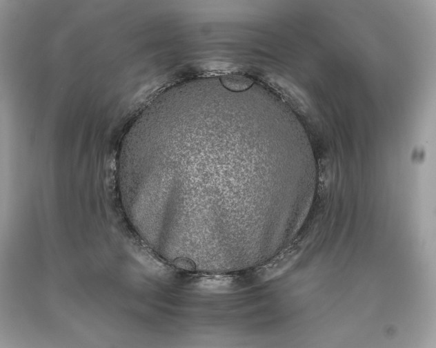 X0000093510369200710261203