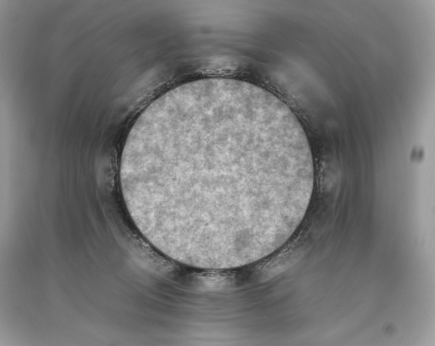 X0000093510370200710261203