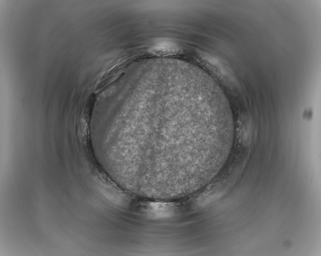 X0000093510371200710261203