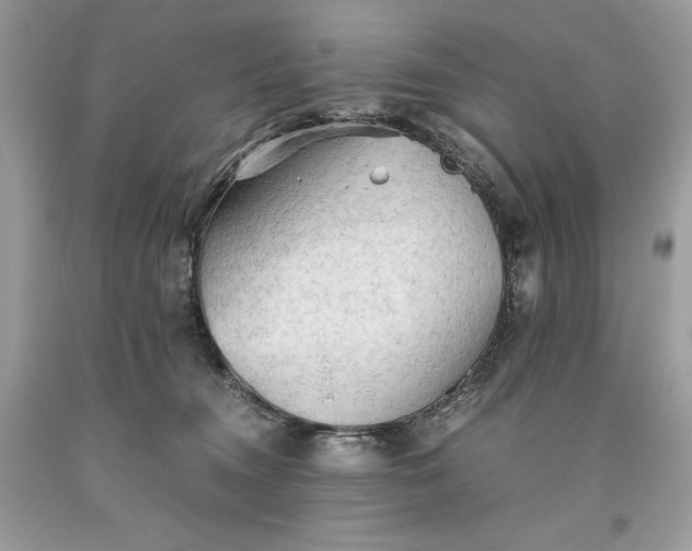 X0000093510372200710261203