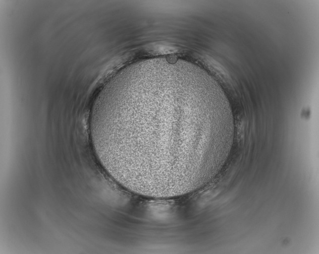 X0000093510373200710261203