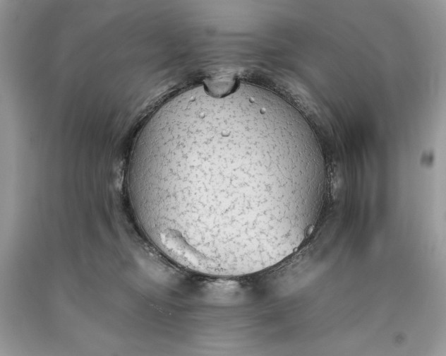 X0000093510374200710261203