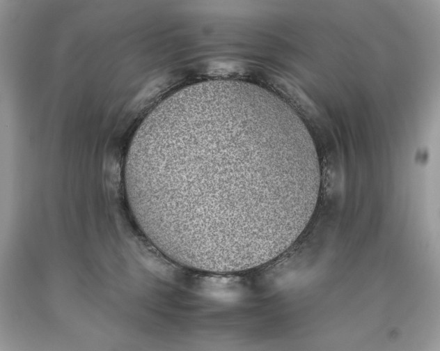 X0000093510375200710261203