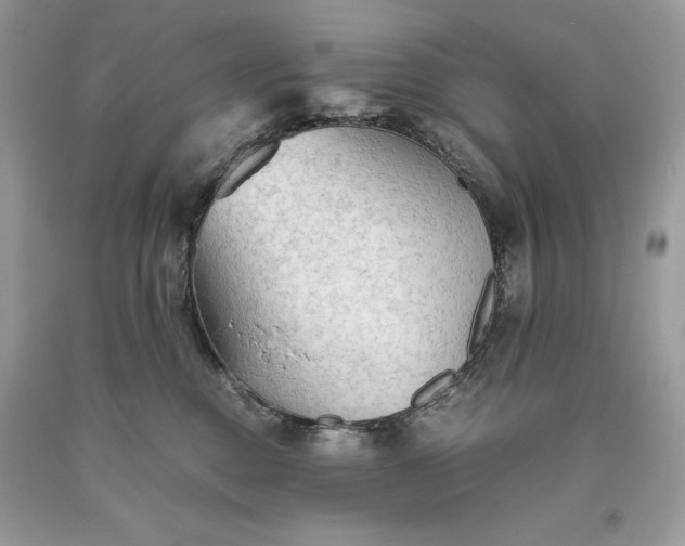 X0000093510376200710261203