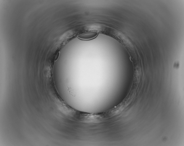 X0000093510379200710261203