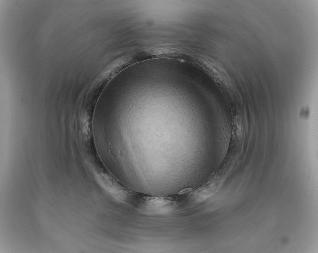 X0000093510380200710261203