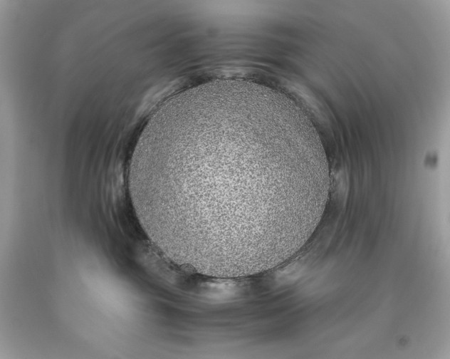 X0000093510381200710261203