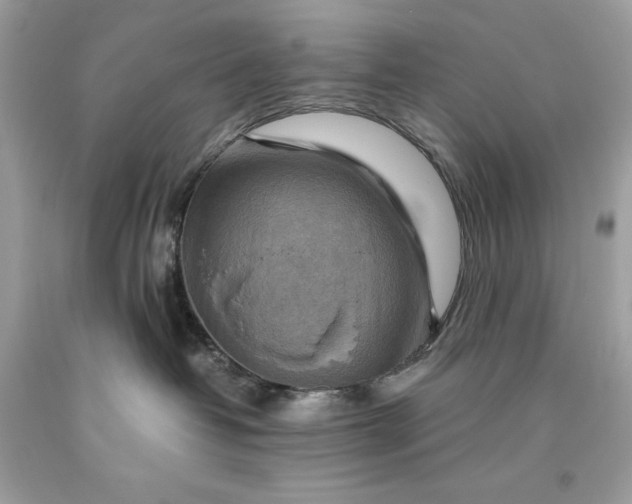 X0000093510382200710261203