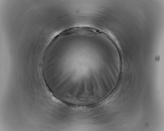 X0000093510385200710261202