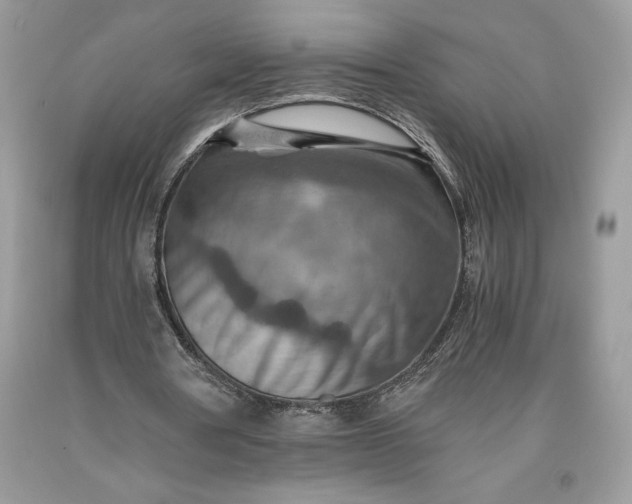 X0000093510386200710261202