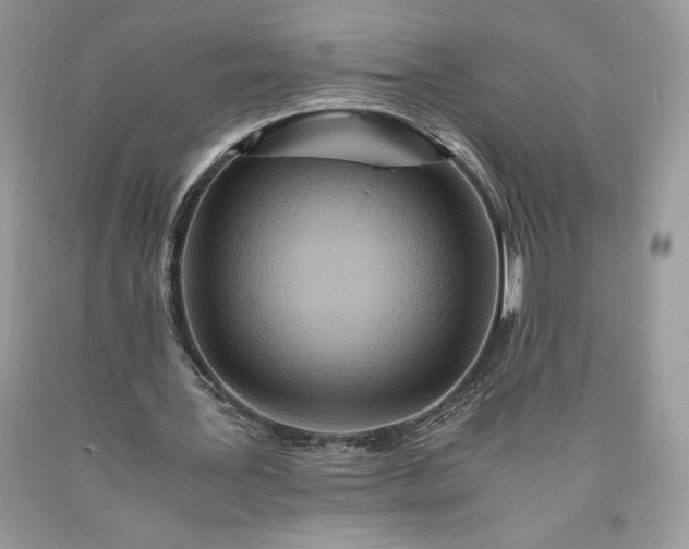 X0000093510387200710261202