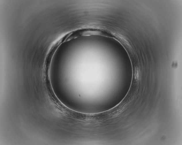 X0000093510388200710261202