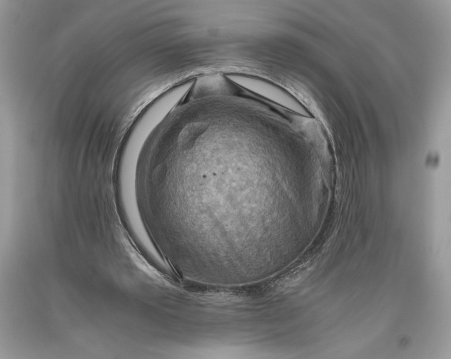 X0000093510389200710261202