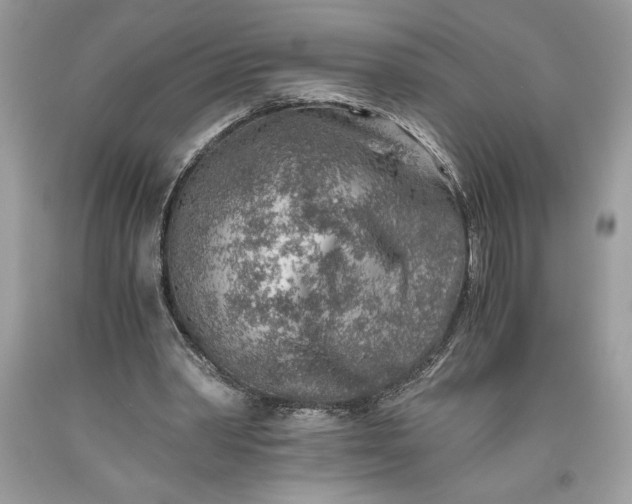 X0000093510390200710261202