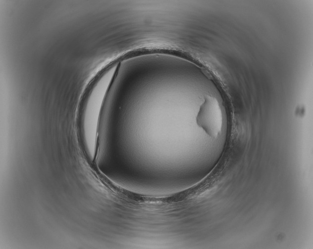 X0000093510391200710261202