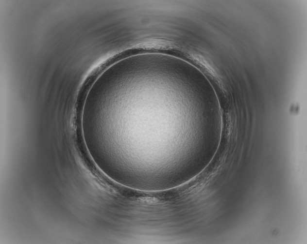 X0000093510392200710261202