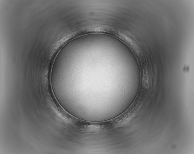 X0000093510394200710261202