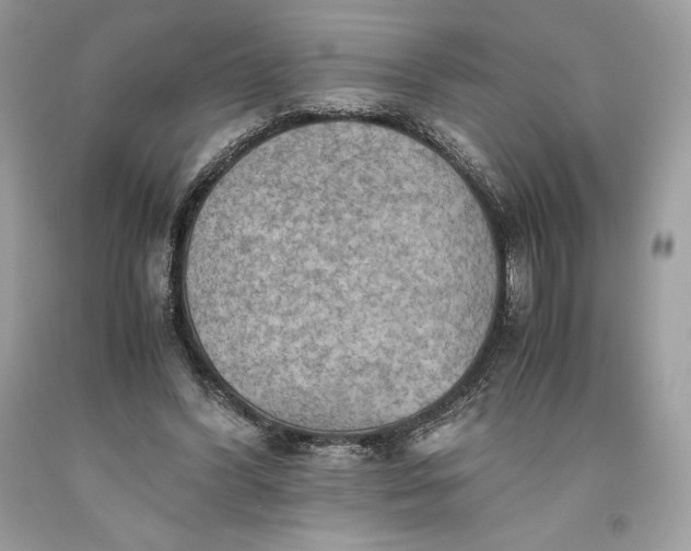 X0000093510396200710261202