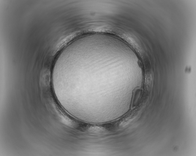 X0000093510397200710261202